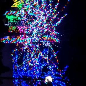 Meet your Posher, Pat